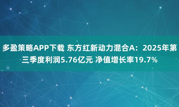 多盈策略APP下载 东方红新动力混合A：2025年第三季度利润5.76亿元 净值增长率19.7%
