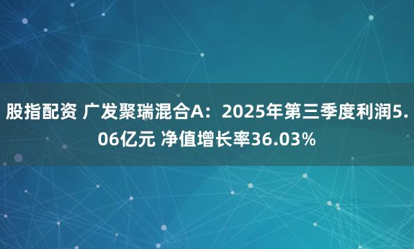 股指配资 广发聚瑞混合A：2025年第三季度利润5.06亿元 净值增长率36.03%