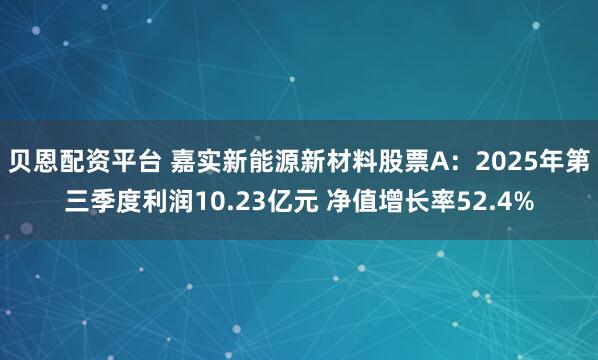 贝恩配资平台 嘉实新能源新材料股票A：2025年第三季度利润10.23亿元 净值增长率52.4%
