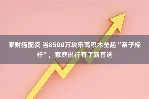 家财猫配资 当8500万块乐高积木垒起“亲子标杆”，家庭出行有了新首选